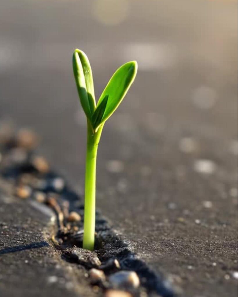 pokazać, jak mimo trudnych warunków można realizować swój potencjał wzrostu