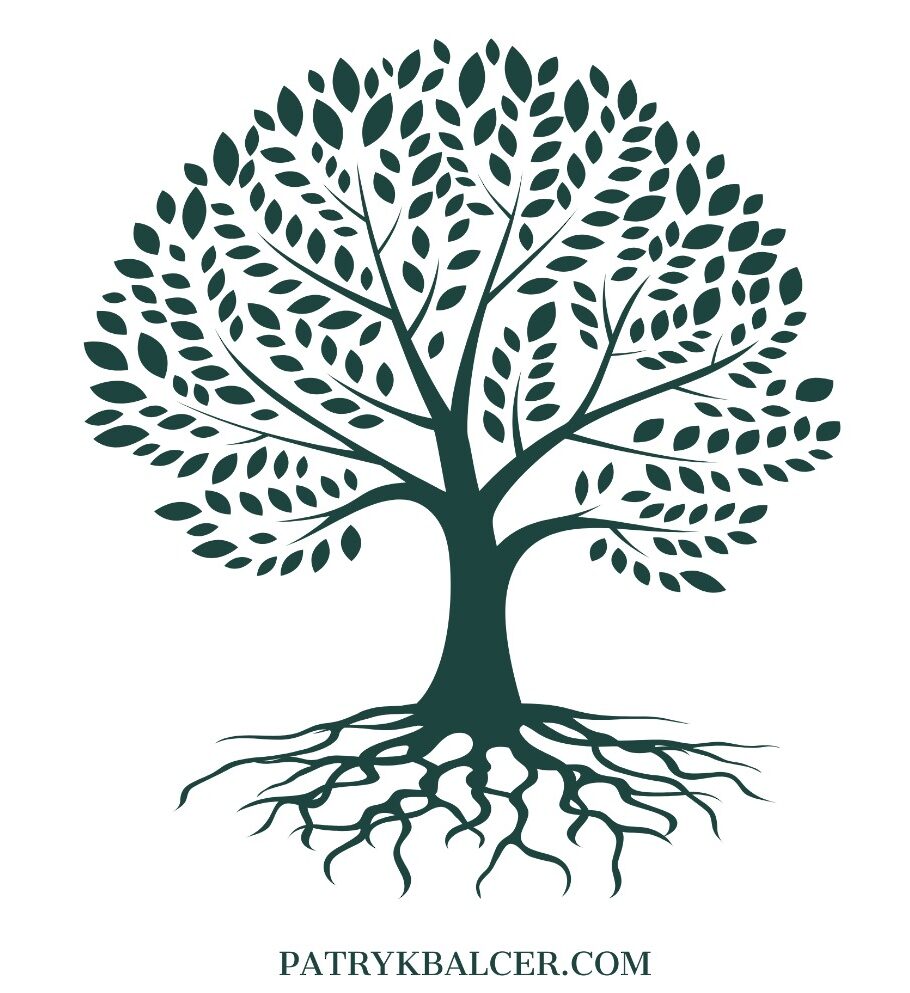 PATRYK BALCER USTAWIENIA SYSTEMOWE